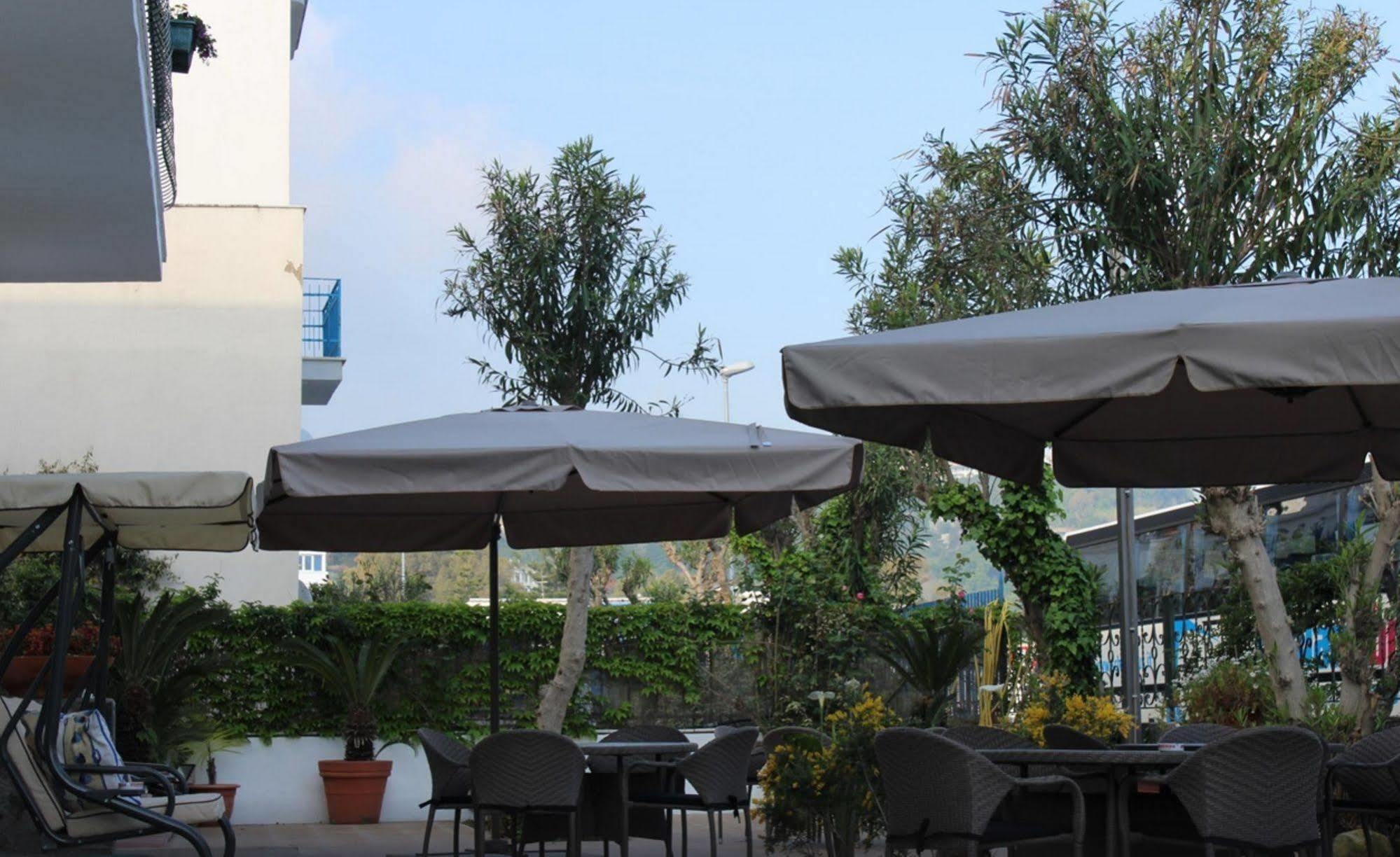 Hotel Stella Maris Terme 卡萨米乔拉泰尔梅 外观 照片